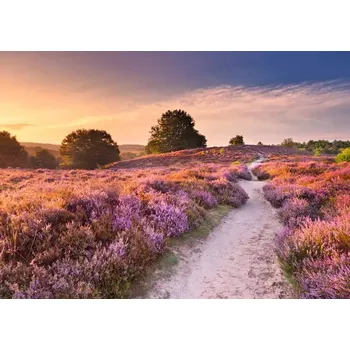 Puzzle RAVENSBURGER Puzzle Růžová cesta 1000 dílků