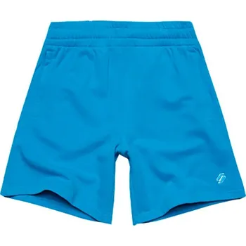 Pánské kraťasy Kraťasy Superdry Blau 6446608 L