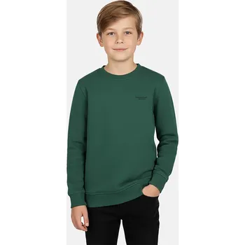 Chlapecká mikina Cars Grün 8307570 176