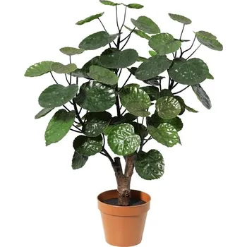umělá květina Umělá dekorativní rostlina Stínovka - Polyscias Fabian 60 cm