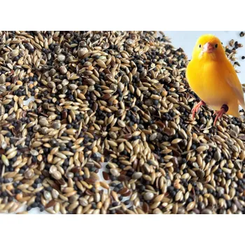 Krmivo pro ptáka Krmivo pro kanárky 5 kg krmivo pro papoušky malé papoušky stehlík
