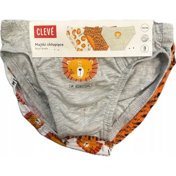 Chlapecké oblečení Chlapecké spodní prádlo CLEVE 3 ks balení 110/116