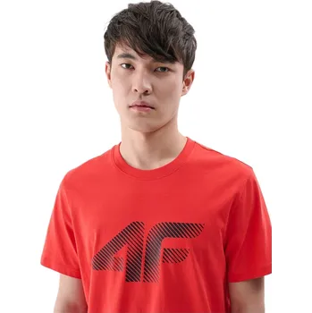 Pánské tričko TRIČKO PÁNSKÉ TTSHM2257 4F XXL