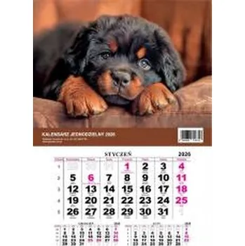 Kalendář Kalendarz 2026 jednodzielny Pies