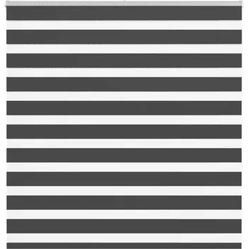 vidaXL Zebra roleta 150x150cm šířka látky 145,9cm polyester [4014765] Barva: Černá