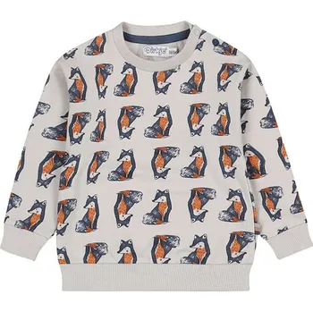 Chlapecká mikina Dirkje Grau 6397125 116