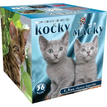 Pexeso Pexeso box - Kočky - 3036