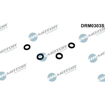 Systém vstřikování Těsnění, palivové potrubí DR MOTOR DRM0303S