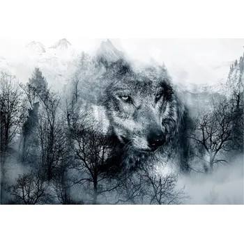 Fototapeta Fototapeta - Dravec z hor (černobílá) - 350x245