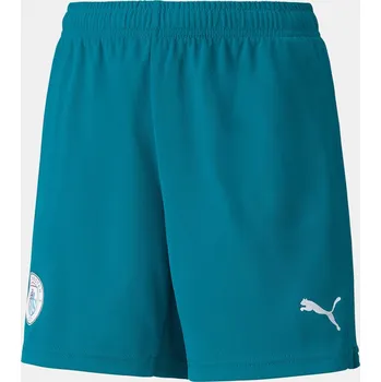 Chlapecké plavky Puma Blue 8227605 11-12