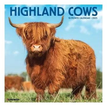 Kalendář Highland Cows 2026 12 X 12 Wall Calendar (Brožovaná)