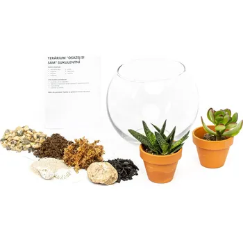 Terárium Gardners Skleněná váza boule Osázej SI Sám suchomilně, M