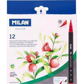 Flamastry pędzelkowe Watercolour 12 kolorów MILAN