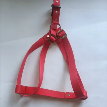 Postroj pro psa Postroj pro psa 85 cm silný popruh