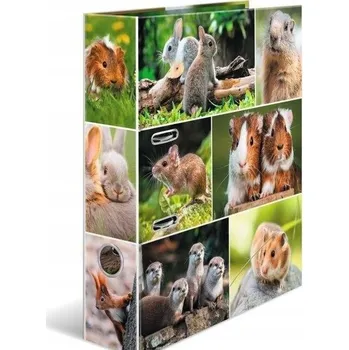 Obraz Segregátor Herma Hlodavci A4 70 mm vícebarevný