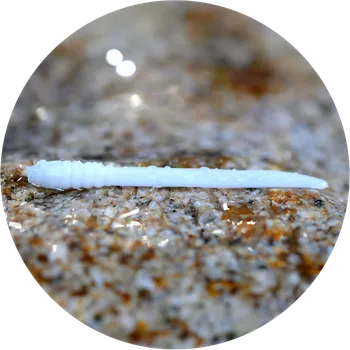 Umělá nástraha RedBass Gumová Nástraha Micro Tail White - XS 35 mm