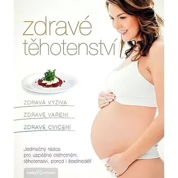 Zdravé těhotenství (Kamila Vorlová, 2012)
