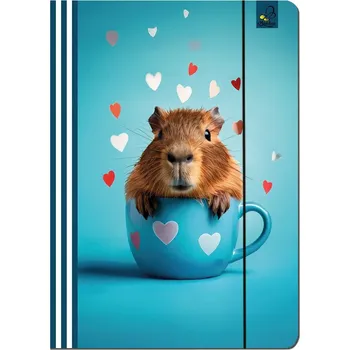 OBÁLKA A4 S GUMIČKOU KAPYBARA NÁMOŘNICKÁ 5 KUSŮ