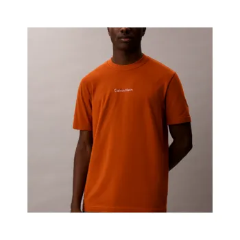 Pánské tričko Calvin Klein LIFESTYLE SS TEE L