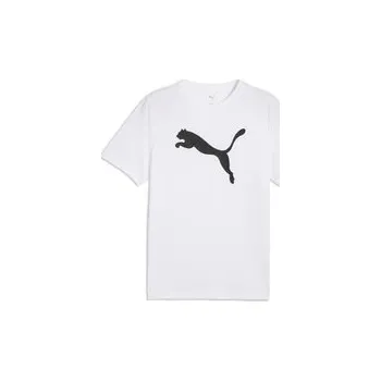 Pánské tričko Puma ESS Poly Tee S