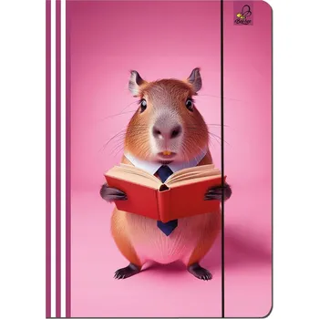 OBÁLKA A4 S GUMIČKOU KAPYBARA RŮŽOVÁ 5 KUSŮ