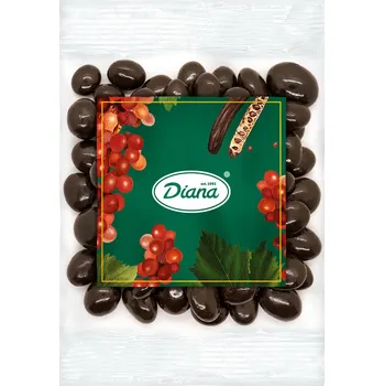 Diana Company Rozinky v karobové polevě 100g