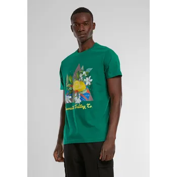 Pánská móda Limonáda Tee lesní zelená Mister Tee zelená 2854179