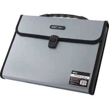 Pořadač/Organizér s gumou, s přihrádkami, s rukojetí A4 D.rect