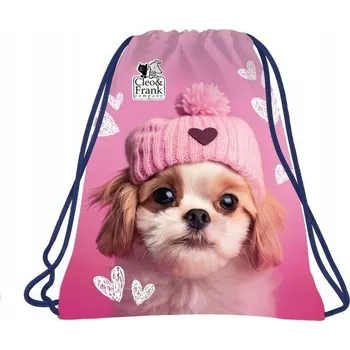 Obraz Sáček Derform 41 x 35 cm