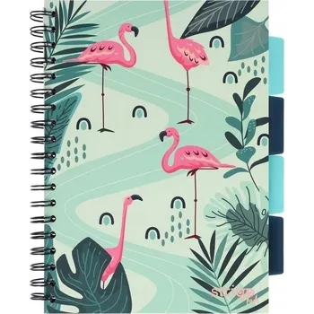 Sešit Sešit B5 s linkami Strigo, 100 listů