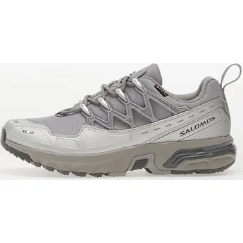 Dámské tenisky Tenisky Salomon ACS + GTX Alloy/ Clrock/ Ftw Silver EUR 42