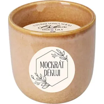 Bytová dekorace Keramická vonná svíčka 200 g - mockrát děkuji