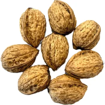 Vlašské ořechy ve skořápce – přírodní zdroj chuti a kvality váha: 5000g