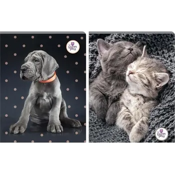 Sešit Sešit linkovaný A5 Beniamin 60 listů