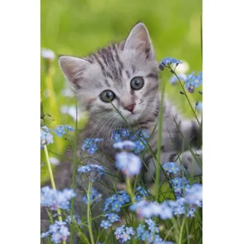 Dětské zboží DINO Puzzle Zvířátka - Kotě 54 dílků 150912