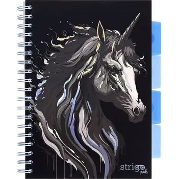 Blok Sešit B5 s linkami Strigo, 100 listů