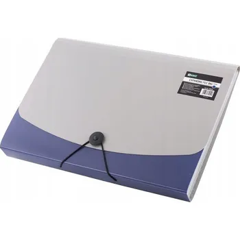 Pořadač / Organizér A4 D.rect