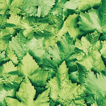 Tapeta NÁBYTKOVÁ FÓLIE SAMOLEPICÍ 45x50 cm – ZELENÉ LISTY