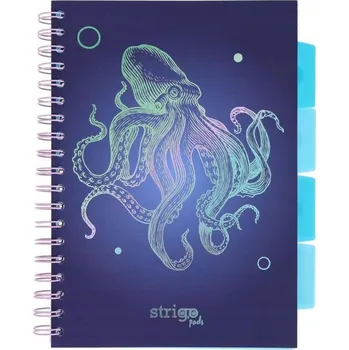 Sešit Sešit B5 s linkami Strigo, 100 listů