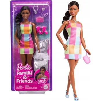 BARBIE FAMILY & FRIENDS PANENKA Booklyn s oblečením JBF42