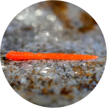 Umělá nástraha RedBass Gumová Nástraha Micro Tail Signal Orange UV COLOR - XS 35 mm