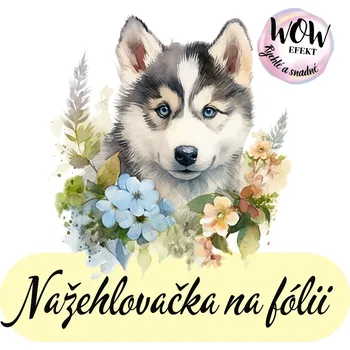 Nažehlovačky na fólii Nažehlovačka na fólii, SIBIŘSKÝ HUSKY v květinách, 1 kus