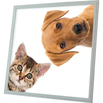 Dekorativní svítidlo Dekorativní LED svítidlo - LED panel - motiv kočka a pes (Dětský lustr - světlo do dětského pokoje)