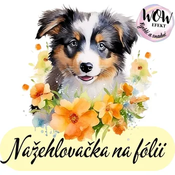 Nažehlovačky na fólii Nažehlovačka na fólii, AUSTRALSKÝ OVČÁK v květinách, 1 kus