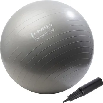 Gymnastický míč HMS Gymnastický míč HMS YB02N 55 cm šedý