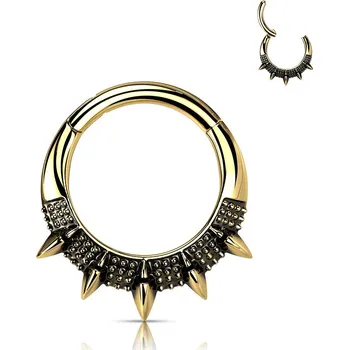 Piercing Šperky4U Zlacený segment kruh s hroty - helix / cartilage / tragus piercing - NS0056GD-1208