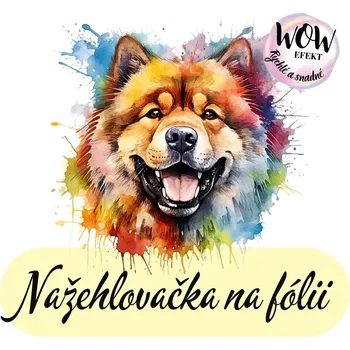 Nažehlovačky na fólii Nažehlovačka na fólii, PES CHAU CHAU v barvách, 1 kus