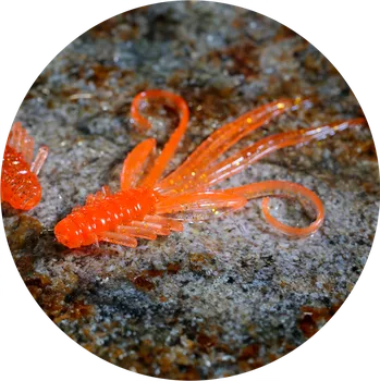 Umělá nástraha RedBass Gumová Nástraha Nymfa Orange G - X 100 mm UV