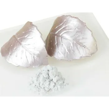 Potravinářské barvivo Cake Masters Prachová barva třpytivá stříbrná 10g