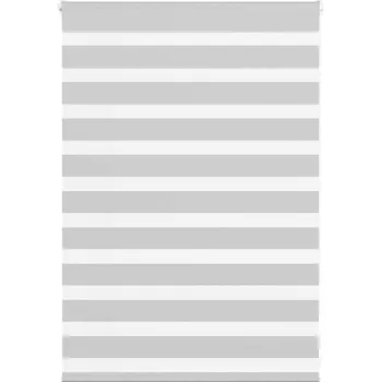 Stavební výplň vidaXL Zebra roleta 100x100 cm šířka látky 95,9 cm polyester [4014105] Barva: světle šedá